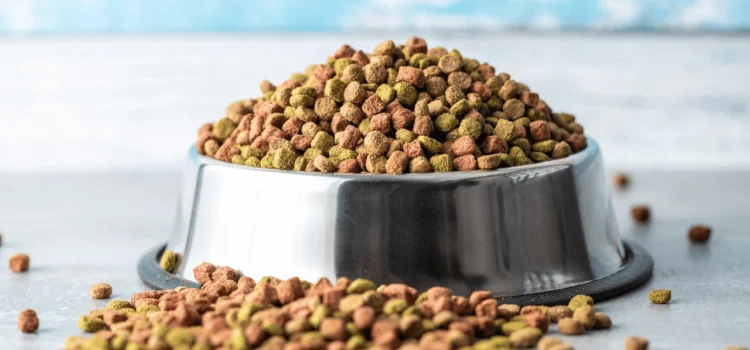 Essential Pet Supplies: A Comprehensive Guide for Beginners